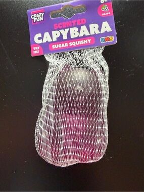 New Crazy Fun RMS Grape Scented Capybara Purple Sugar Squishy Toy 6+ Toy Fidget